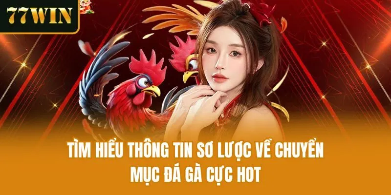 Tìm hiểu thông tin sơ lược về chuyển mục Đá Gà cực hot