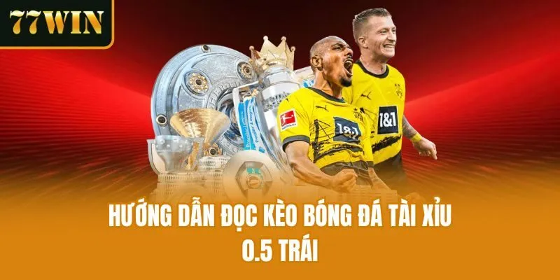 Hướng dẫn đọc kèo bóng đá tài xỉu 0.5 trái