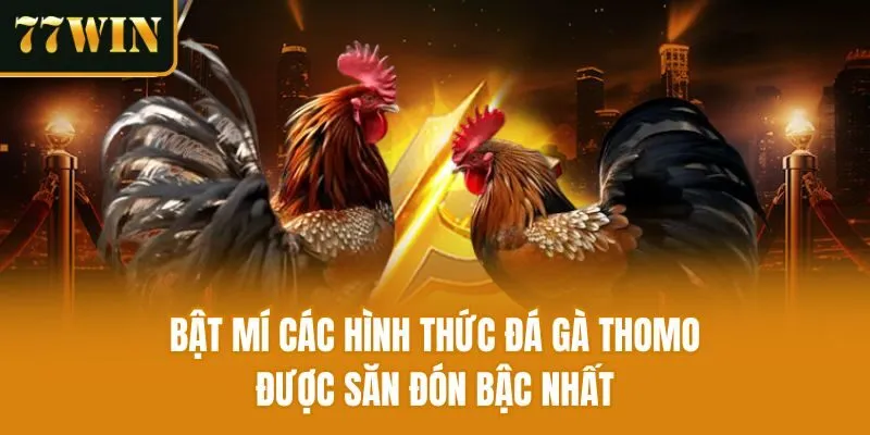 Bật mí các hình thức đá gà Thomo được săn đón bậc nhất